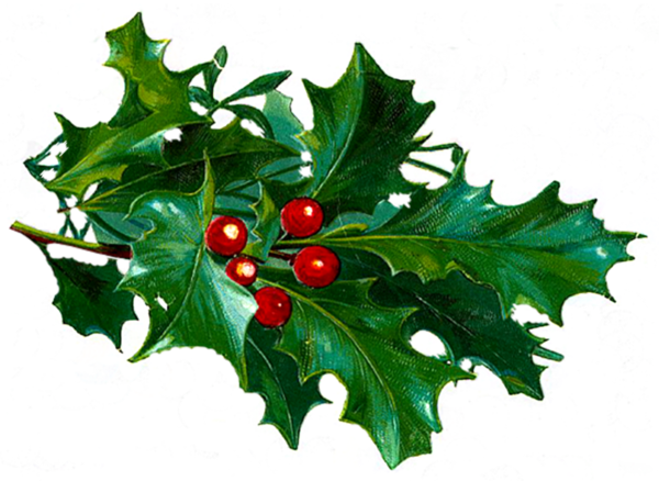 Tubes Noel Divers - Cafepress Christmas Holly 2 84" Curtains (600x438)