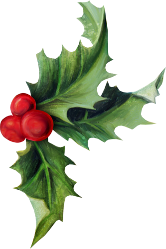 Houx Gui / - Hollyleaf Cherry (333x500)