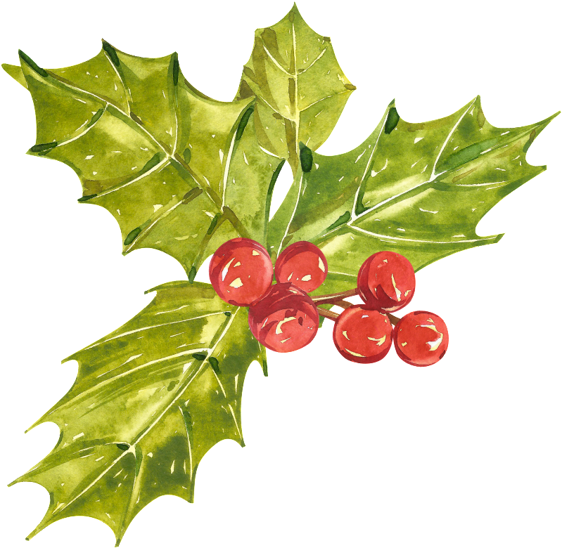 【圣诞树素材叶子】图片免费下载 圣诞树素材叶子素材 圣诞树素材叶子模板-千图网 - Christmas Day (1024x1024)