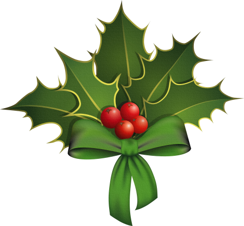 I Do Accept Donations ~*~ - Holly Branches (476x441)