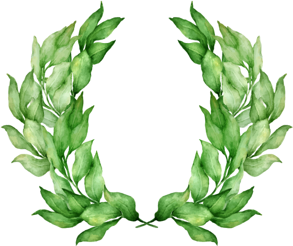 Laurel Wreath Olive Wreath Stock Photography Bay Laurel - Vector Graphics (600x600)