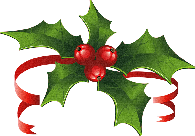 Обсуждение На Liveinternet - Christmas Holly Transparent Png (800x558)