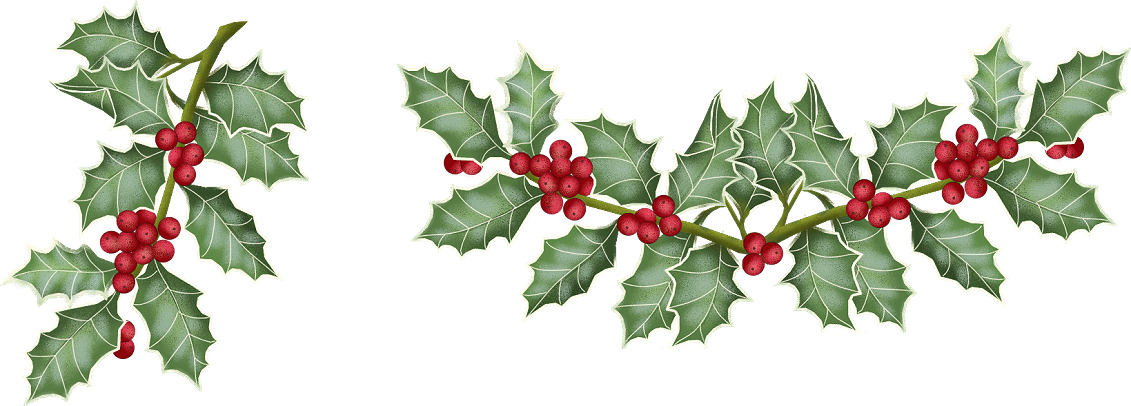 Imágenes De Flores De Navidad - Currant (1131x406)