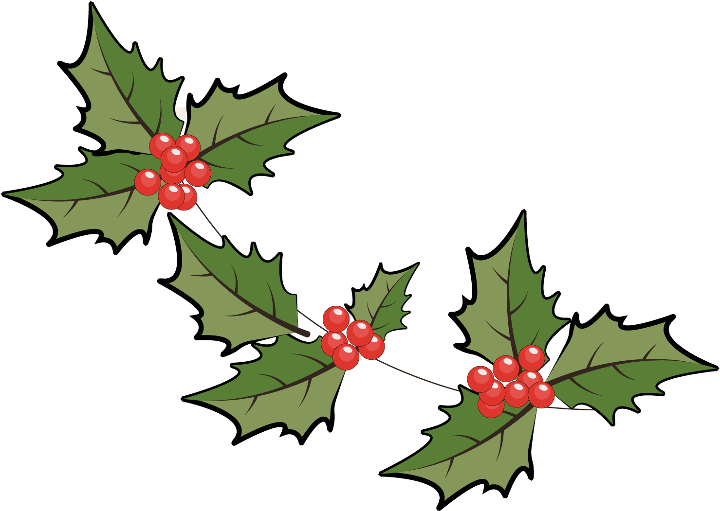 圣诞节手绘创意植物装饰叶子 - Cartoon (1500x1500)