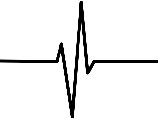 Flatline Ekg Cliparts - Pulse (640x480)