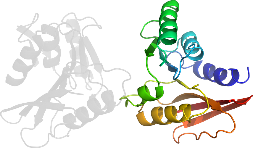 Graphic Design Clip Art - Illustration (855x500)