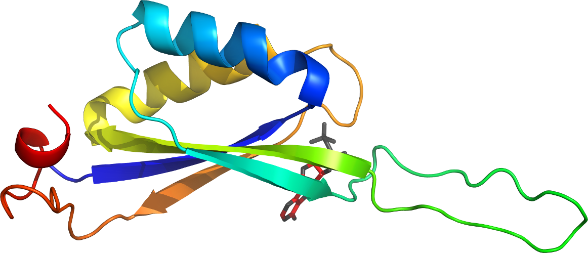 Art Line Point Graphic Design Clip Art - Art Line Point Graphic Design Clip Art (1162x500)