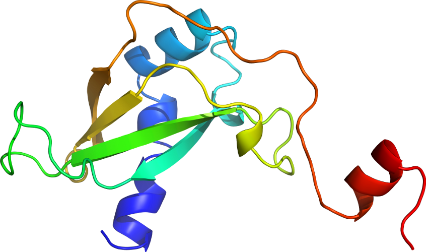 Leaf Line Graphic Design Point Clip Art - Leaf Line Graphic Design Point Clip Art (846x500)