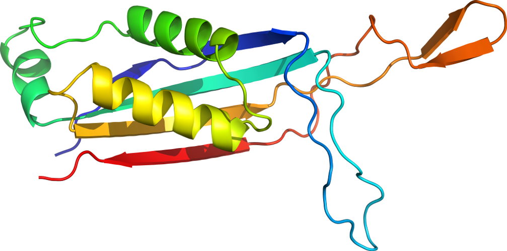 Graphic Design Line Clip Art - Diagram (1007x500)