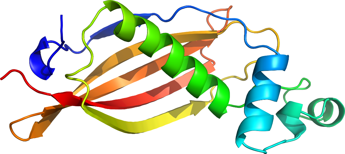 Graphic Design Leaf Clip Art - Graphic Design Leaf Clip Art (1121x500)