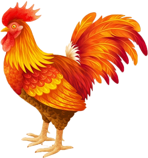 Trong Adobe Photoshop Với Ba Ví Dụ Cơ Bản Là - Con Gà Hoạt Hình (546x562)