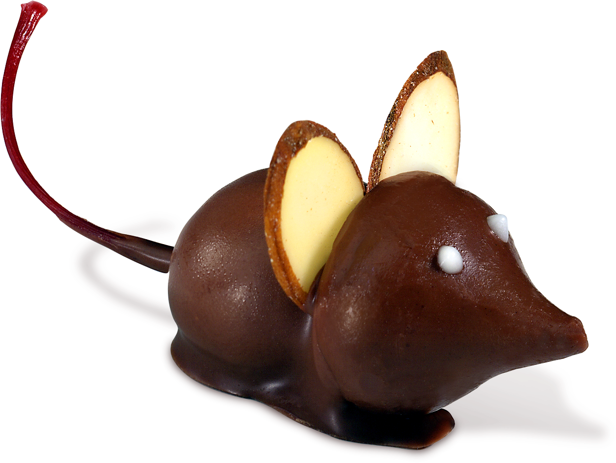 Chocolate Mice (1355x1164)