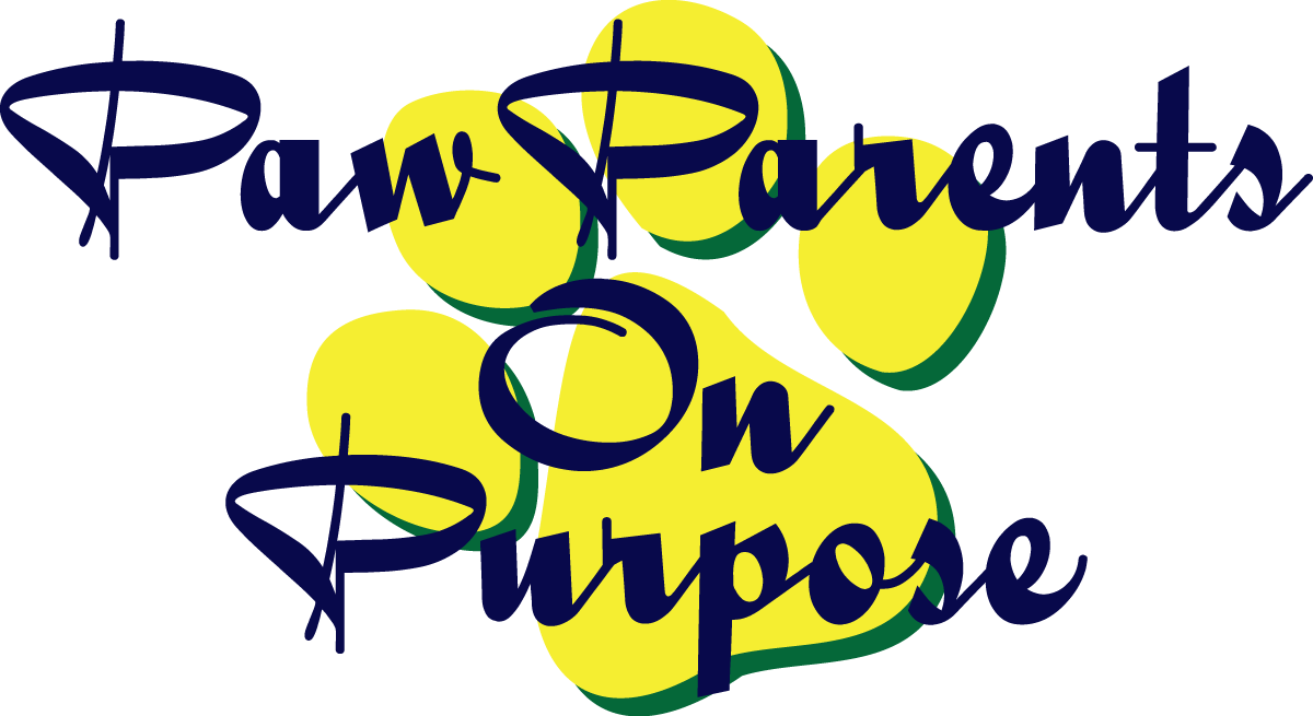 Logo Design By Professional Graphic Design For This - Cp Photography (1200x655)