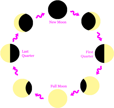 As A Result We Have 13 Full Moons Each Year - Circle (457x452)