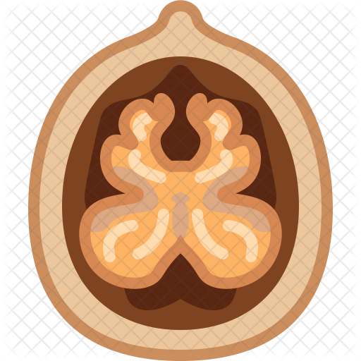Walnut Icon - Walnut (512x512)