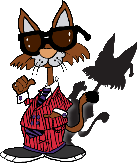 Coolcat Window Tinting And Customz - Coolcat Window Tinting And Customs (360x360)