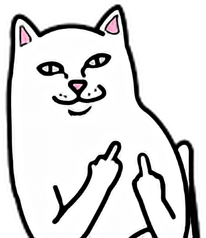 Cat Fuck You Fuckyou - Middle Finger Cat Png (1024x1024)