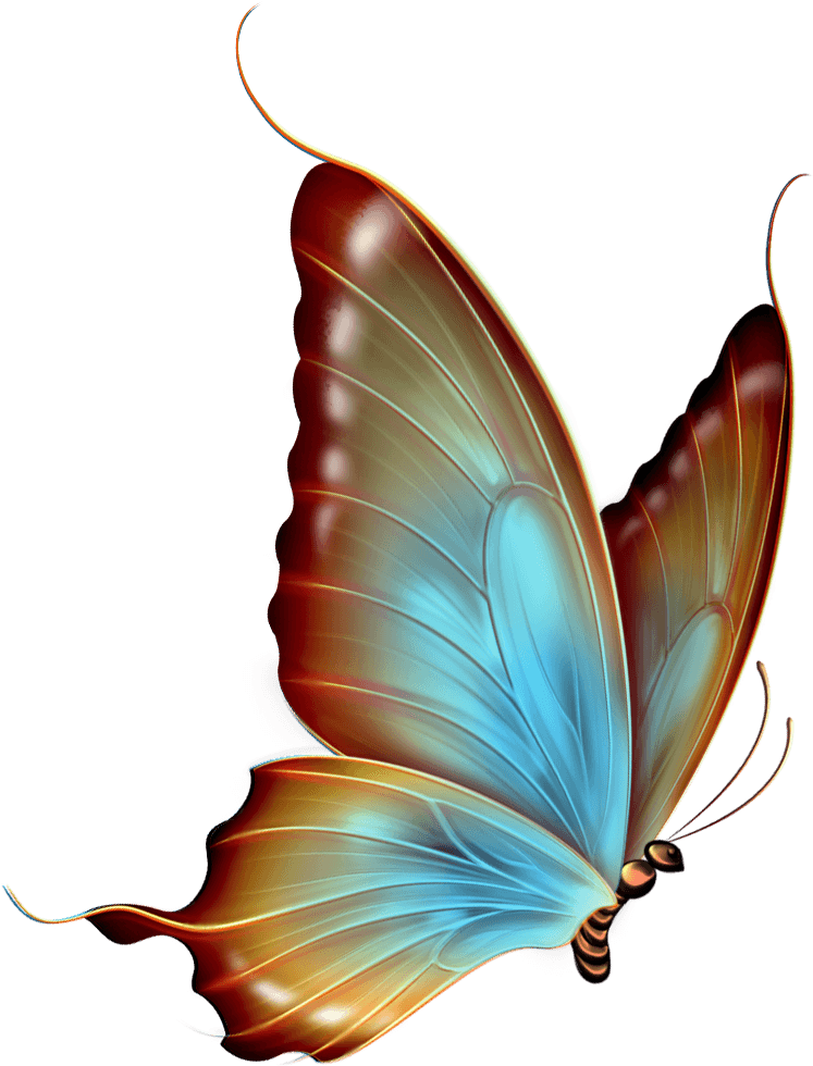 Swimming Butterfly Clipart Transparent - Butterfly Clip Art Transparent (782x1000)