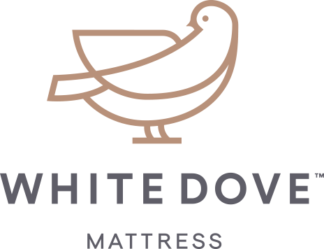 Dove White With Dove White - Calligraphy (464x356)