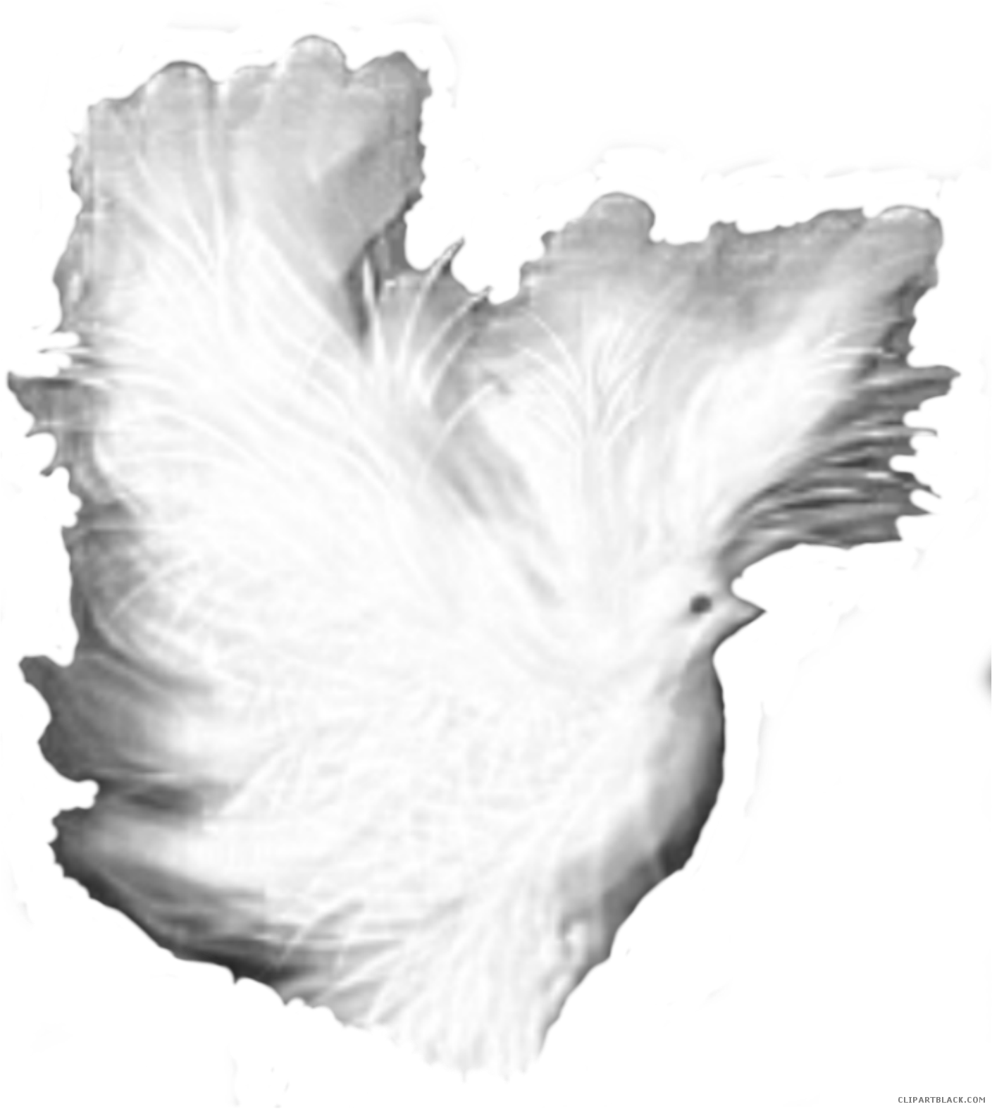 White Dove Animal Free Black White Clipart Images Clipartblack - Phasianidae (1408x1574)