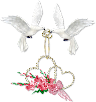 Wedding Doves Pictures Download - Свадьба Голуби Png (350x380)