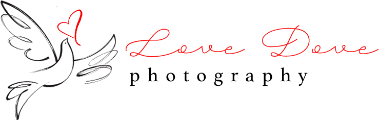 Love Dove Photography - Dove In My Window (748x240)