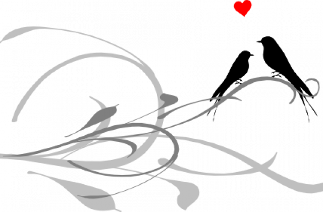 Love Birds Black And White Graphic - Line Bird Art (640x420)