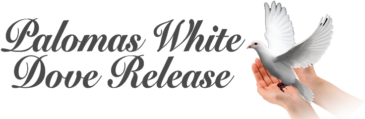 Wedding In White (1972) (763x248)