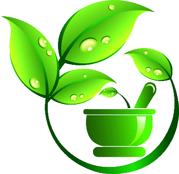 Pretty Plant Clip Art Middle Path Webshop Natural Health - Ayurveda Symbol Png (352x341)