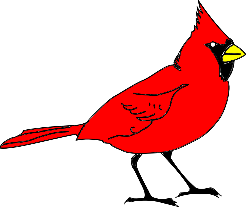 Feathered Friend Cardinals' Choice Is A Premium Blend - Clip Art Cardinal (853x720)