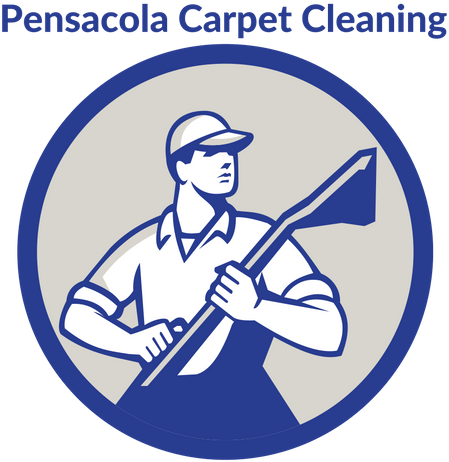 Carpet Cleaning Steam Cleaning Cleaner - Carpet Cleaning Vector (500x500)