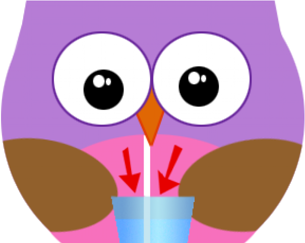 Owl Water Cliparts - Owl Water Cliparts (640x480)
