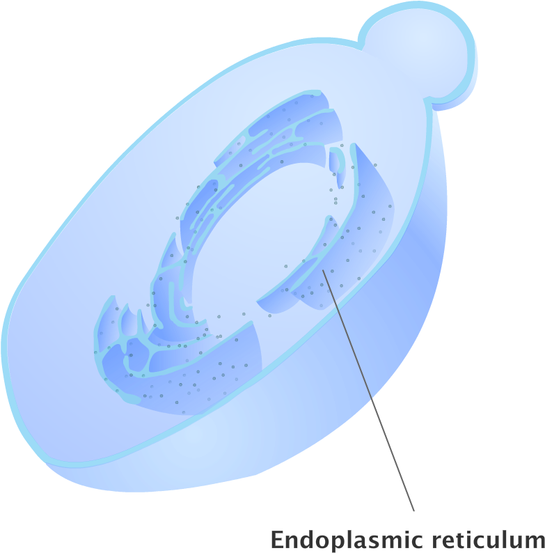 Loading 100% - Emblem (1080x1080)