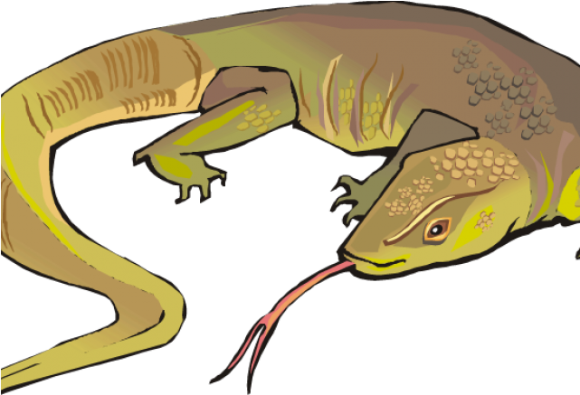 Monitor Lizard Clipart Pathfinder - Lizard Clipart Transparent (640x480)