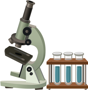 Mbbs Second Year Question Bank With Synopsis H Edition) (355x384)