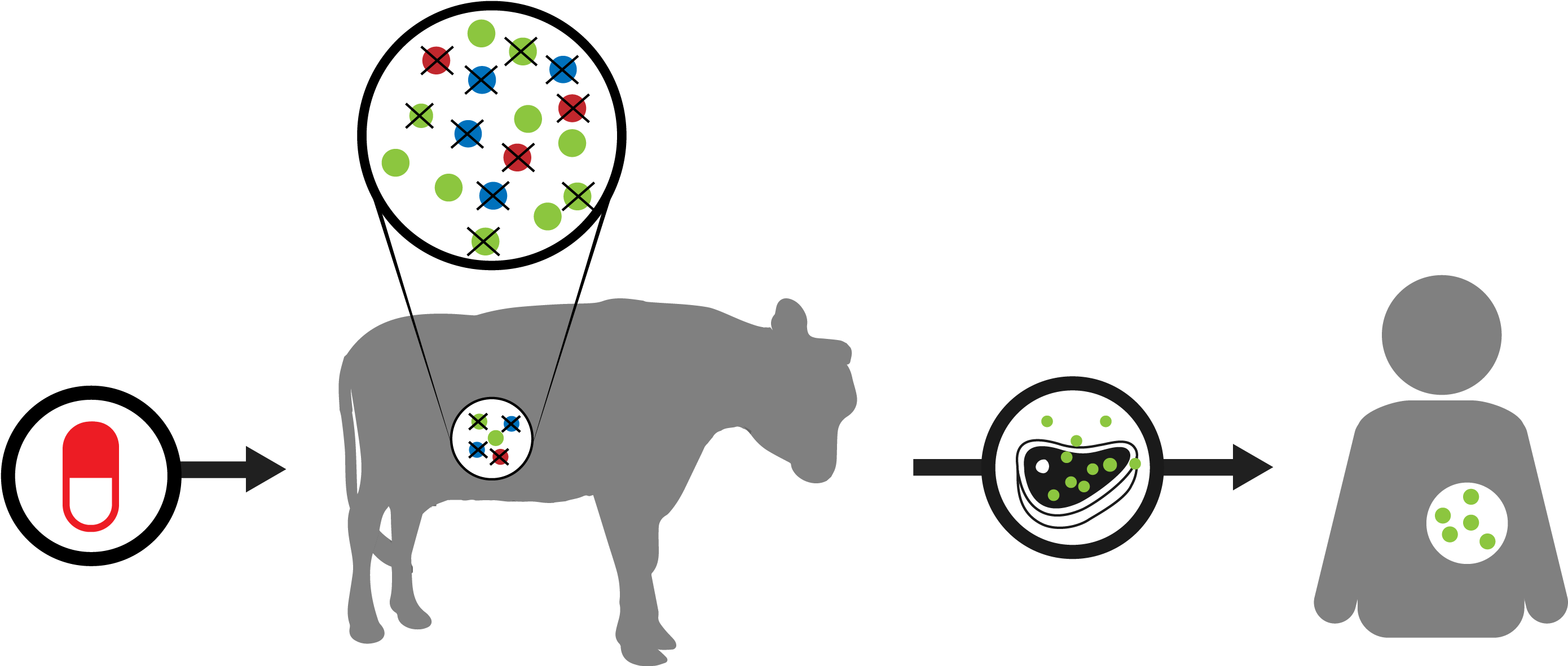 It Is Estimated That By 2050, 10 Million People Will - It Is Estimated That By 2050, 10 Million People Will (3000x1405)