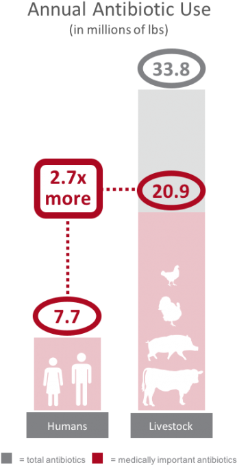 Comparison Of Annual Antibiotic Use In The United States - Screenshot (469x700)