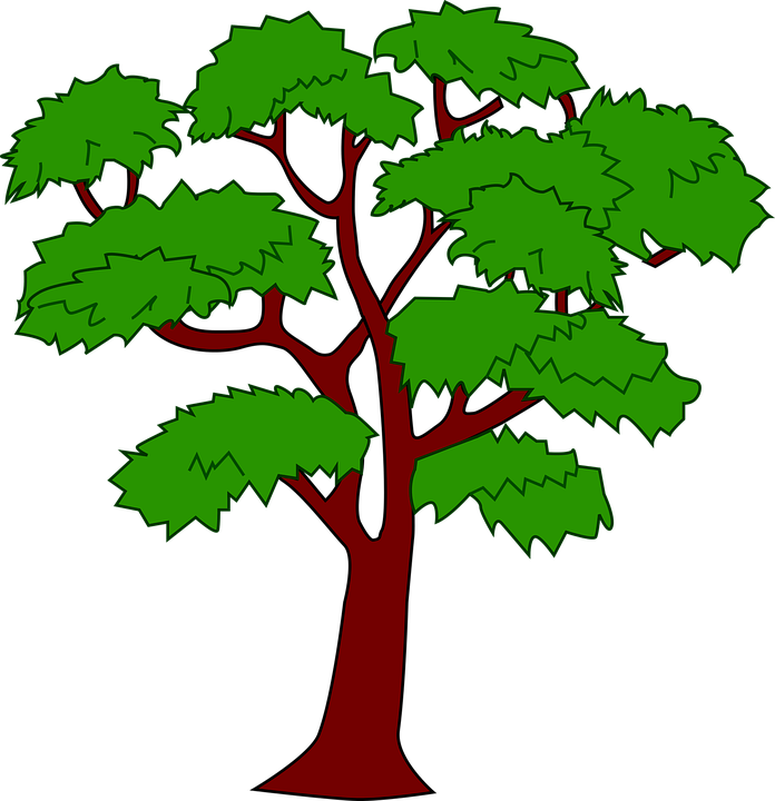 Tree House Clipart 29, Buy Clip Art - Mahogany Tree Of Belize (696x720)