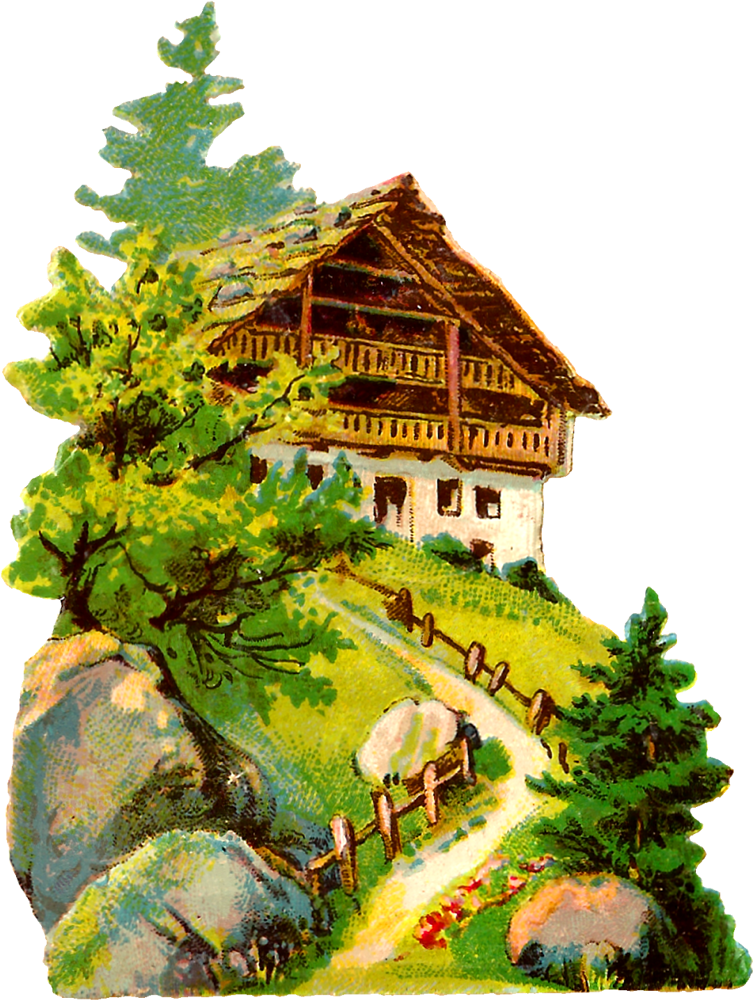 The Second Digital German Architecture Image Is Of - Colorado Spruce (1271x1600)