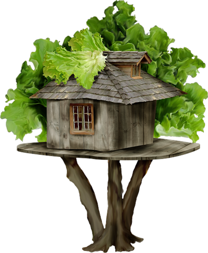Publicat De Eu Ciresica La - Lettuce (412x500)