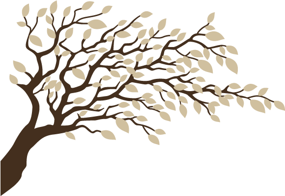 Rama Arbol Imagui - Tree (650x650)