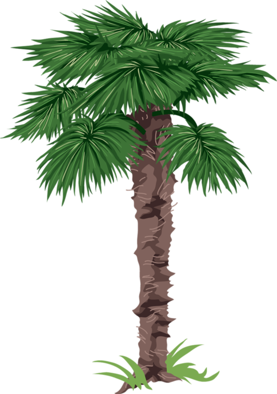 Prediseñadas De Árbolesdibujos De Árbolesramas - Desert Trees Clip Art (563x800)