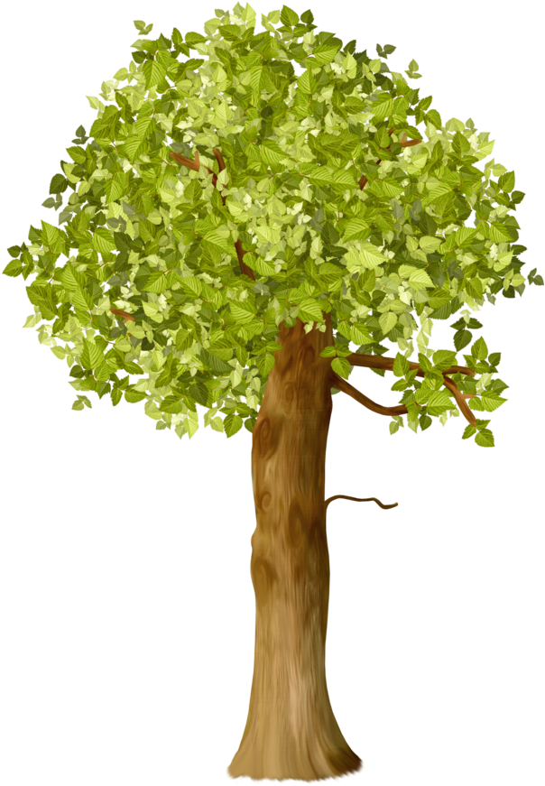 Say Hello De Árbol Clipartimprimibles - Clip Art (624x900)