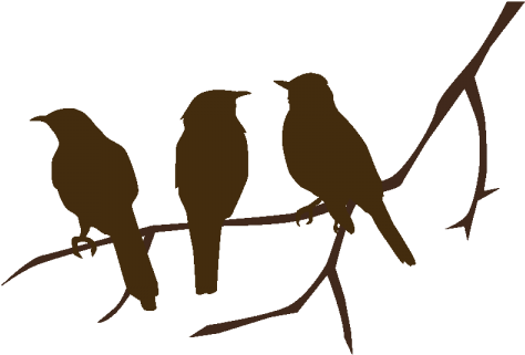 Vinilo Pájaros En Rama - Bird Silhouettes On A Branch (600x600)