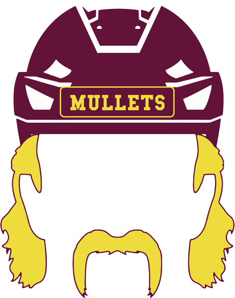 Ice Hockey Helmet Vector (473x600)