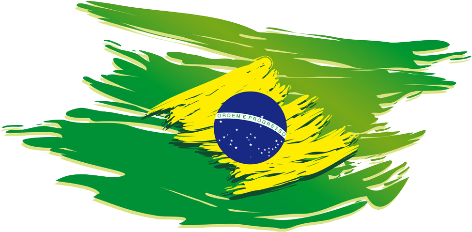 Rio De Janeiro Ultimate Fighting Championship T-shirt - Brazil Flag Brazil Png (1000x707)