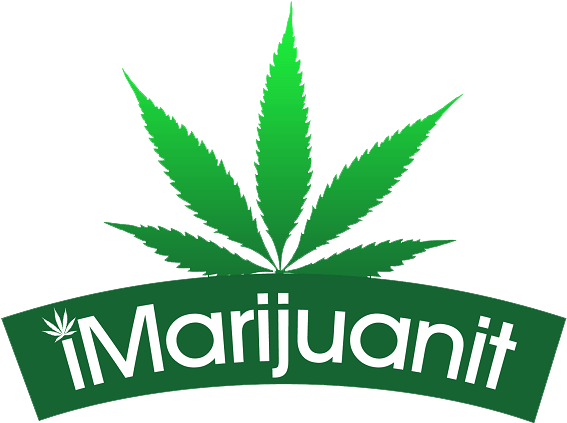 The 7th Floor Da Buddha Vaporizer Is A Popular Choice - Marijuana Leaf (585x444)