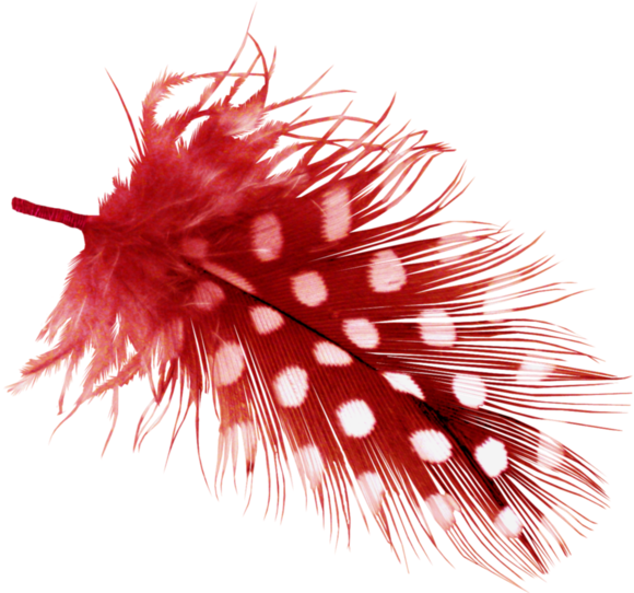 منتدى عدلات - Ornate Venetian Carnival Mask: Blank 150 Page Lined (600x543)