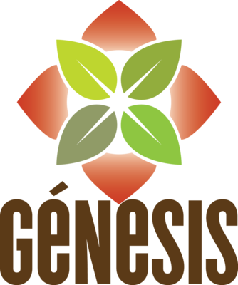 Genesis 4color Vertical Web - Graphic Design (334x400)