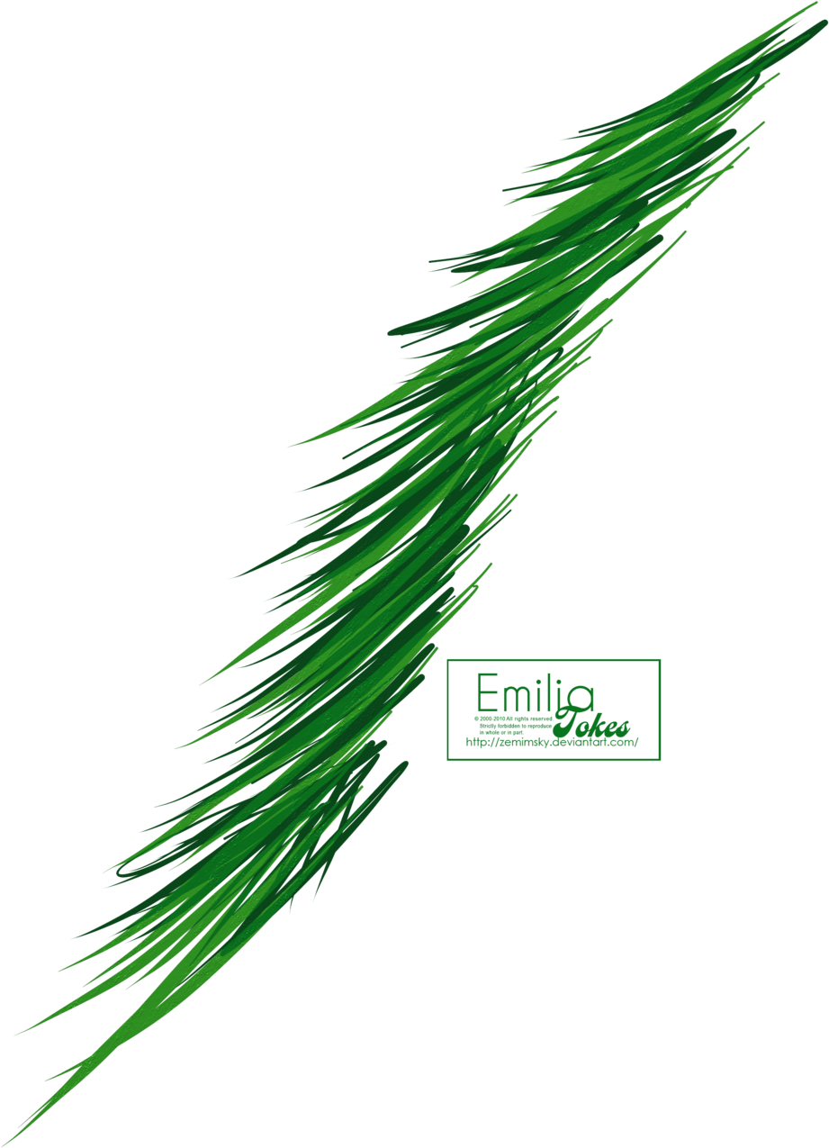 Pine Branch By Hermit-stock - Sweet Grass (1024x1320)